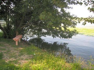 Picnic tables all through the park