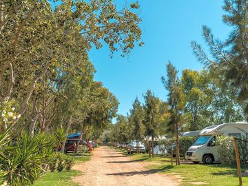 Camping Eucaliptus
