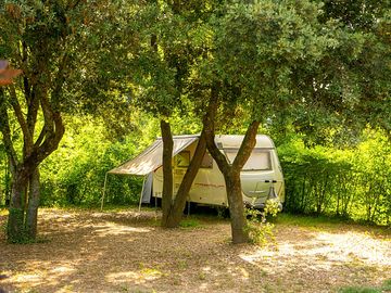 Caravan pitch under the trees