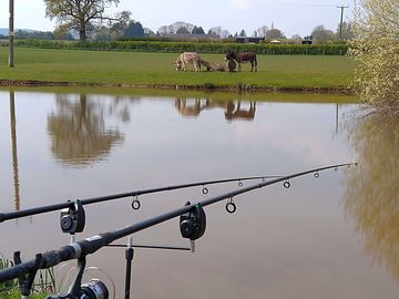 Fishing on the pond