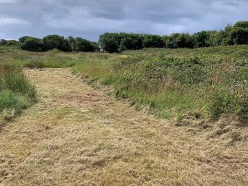Grass tent pitches