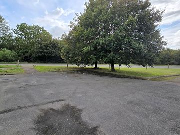 Pitch