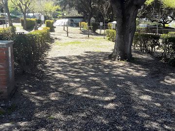 The site