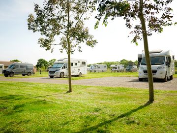 Flaxton meadows