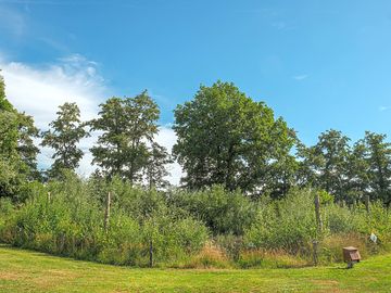 Tent pitches next to the nature pond