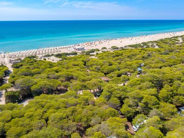 Aerial view of the beach