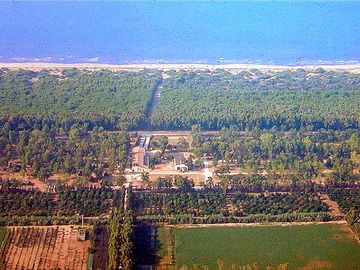 Aerial view of the site, the nearby citrus grove and the path to reach the lake