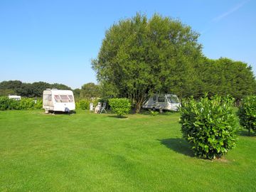 Trees and bushes around the pitches