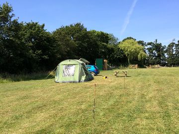 Grassy pitches