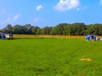 Visitor image of site pitches