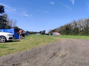 A sunny day at wildly