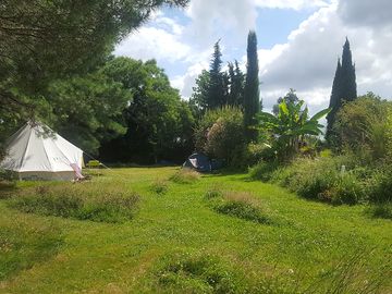 Pitches and bell tent