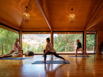Wellness