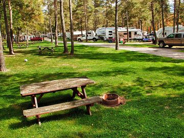 Picnic tables around the sites