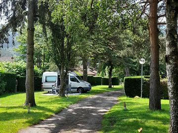 Pitches shaded by trees