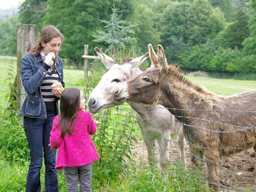 Visit friends at the farm