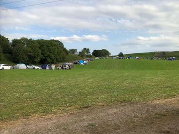 Looking across the site