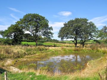 Pond view from campsite