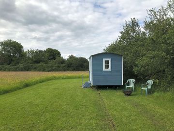 Swallow shepherd hut on the meadow