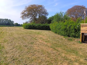 Grass serviced pitches