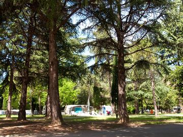 Pitches shaded by trees