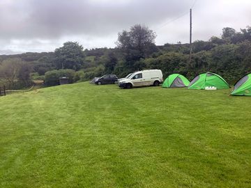 Top field