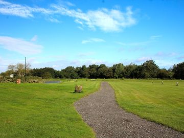 View of the pitches