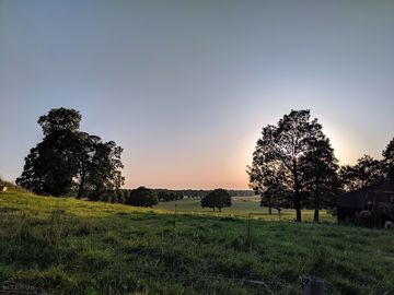 Typical view across the farm.