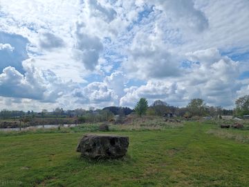 Lochside view