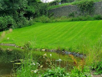 Wildlife pond