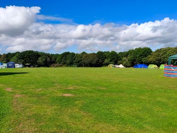 Electric pitch field