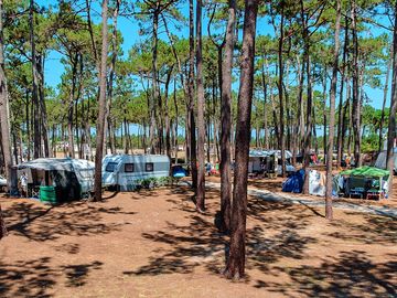 Camping area