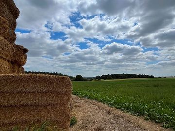 Site on a working farm