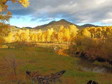 The site in autumn