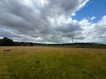Camping pitches