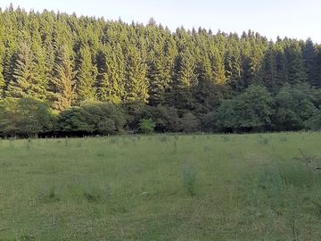 Rural location