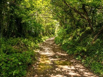 Rashleigh lane