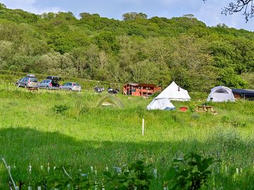 Camping field under a canopy of greenery
