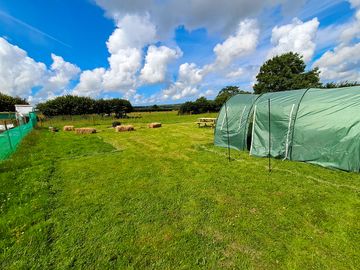 Rental 4-6 man tent - rental tents can be personalised to suit your needs