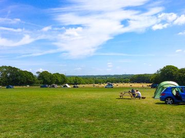 The site in summer