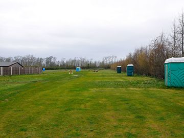 View from hedge in south field towards north field - non electric pitches