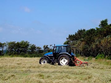 John making hay