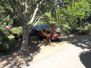 Pitches among the trees