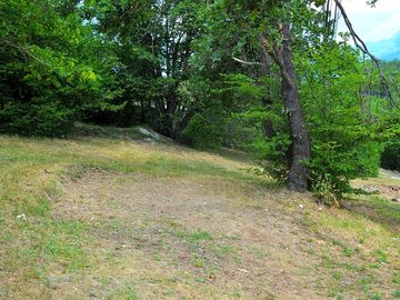 Pitches surrounded by greenery