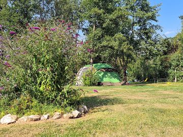 Shaded grass pitches