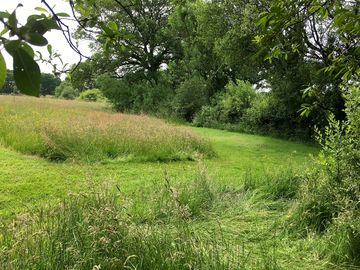 Green views