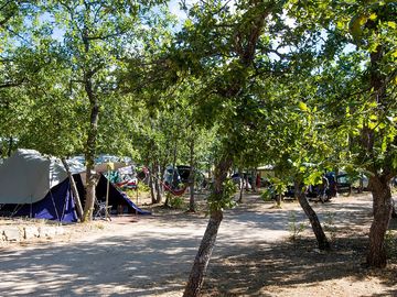 Pitches in the shade of trees