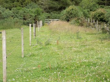 Pathway up to the gate that leads into millbuie forest