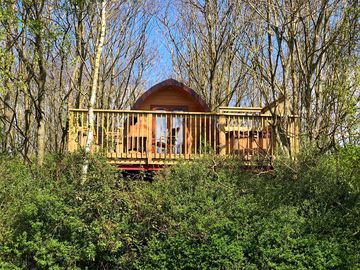 Over The Moon TreePod