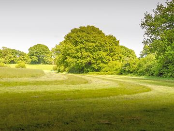 Grass pitches